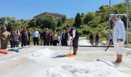 Vali Ayg&ouml;l, tescilli P&uuml;l&uuml;m&uuml;r tuzunun &uuml;retimine k&uuml;rek sallayarak eşlik etti
