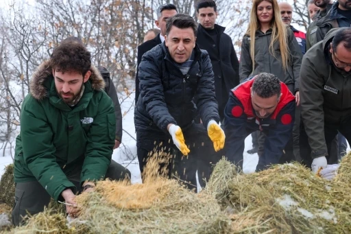 Vali Ayg&ouml;l, yaban hayvanları i&ccedil;in sahada
