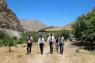 Vali Çelik, Depin bölgesi için harekete geçti
