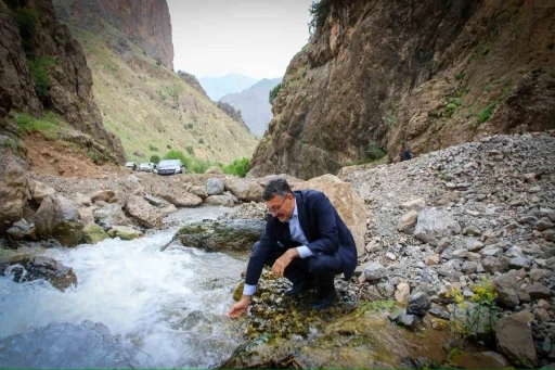Vali Çelik’ten yayla yolunda inceleme
