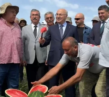 Vali Köşger karpuzu kesip göbeğini yedi, işçilerle birlikte kamyona yükleme yaptı
