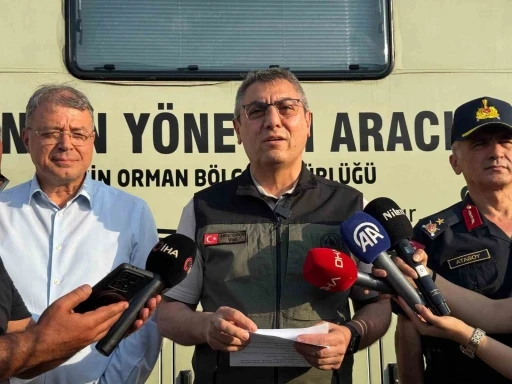 Vali Toros, Mersin’deki orman yangınları ile ilgili bilgi verdi
