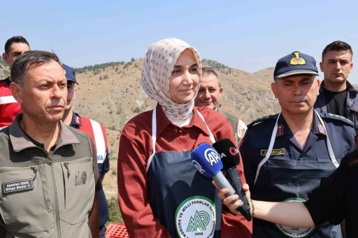 Vali Yiğitbaşı: &quot;Kenelere karşı keklik timi görevde&quot;
