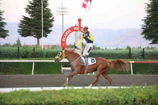 Valilik koşusunda zafer Nesib&rsquo;in
