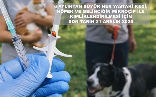 Valilikten evcil hayvan uyarısı
