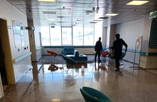 Van Ağız ve Diş Sağlığı Merkezi’nde temizlik çalışması yapıldı
