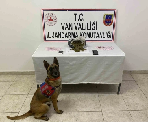 Van&rsquo;da 1 kilo 64 gram skunk maddesi ele ge&ccedil;irildi
