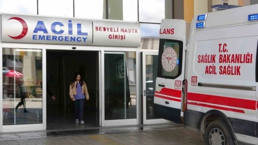 Van’da 144 ’acemi kasap’ hastanelik oldu
