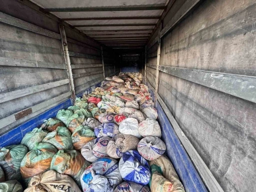 Van’da 22 ton 475 kilogram kaçak avlanmış balık ele geçirildi
