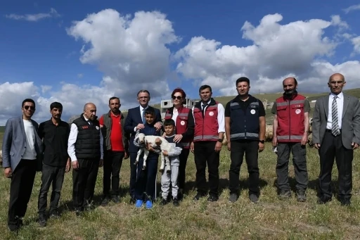 Van’da 3 yılda 2 bin 375 çiftçiye 235 bin koyun desteği verildi
