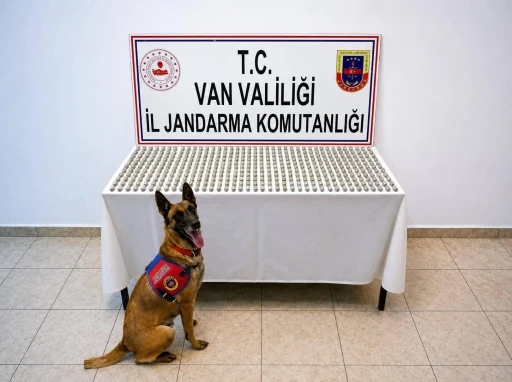 Van&rsquo;da 8 İranlı&rsquo;nın midesinde 3 kilo esrar ele ge&ccedil;irildi
