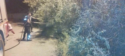 Van&rsquo;da bah&ccedil;e yangını korkuttu
