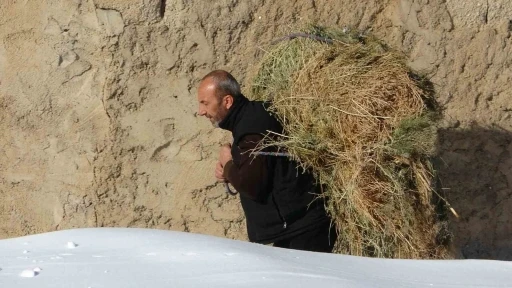 Van&rsquo;da besicilerin zorlu kış mesaisi
