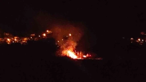 Van’da birçok kuş türüne ev sahipliği yapan sazlık alan yandı
