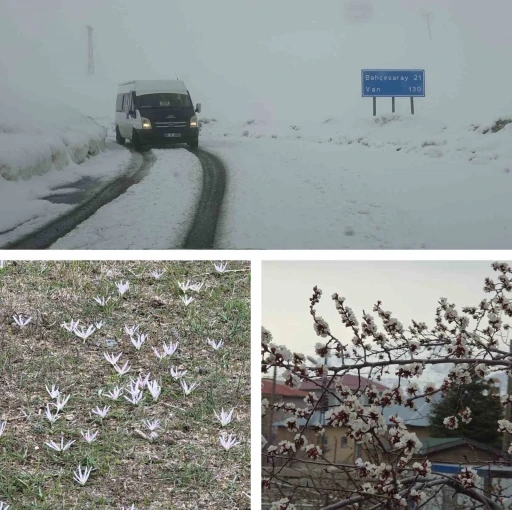 Van&rsquo;da iki mevsim bir arada: Bir yanda bahar, diğer yanda kış
