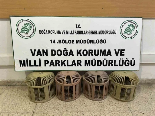 Van&rsquo;da ka&ccedil;ak avcılığa 51 bin 878 TL ceza
