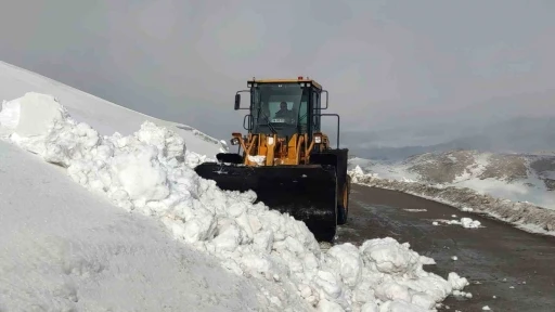 Van&rsquo;da kar nedeniyle kapanan 67 yerleşim yerinin yolu a&ccedil;ılıyor
