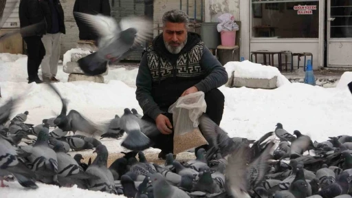 Van&rsquo;da kar sonrası g&uuml;vercinlerden g&ouml;rsel ş&ouml;len
