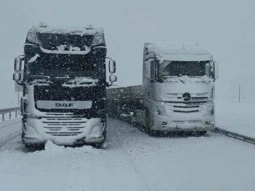 Van’da kar yağışı
