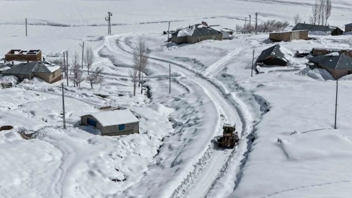 Van&rsquo;da kardan dolayı kapanan 390 yoldan 355&rsquo;i a&ccedil;ıldı
