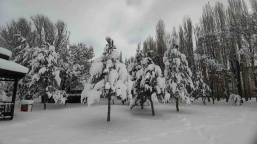 Van&rsquo;da karla gelen g&uuml;zellik: Ağa&ccedil;lar kartpostallık manzaralar oluşturdu
