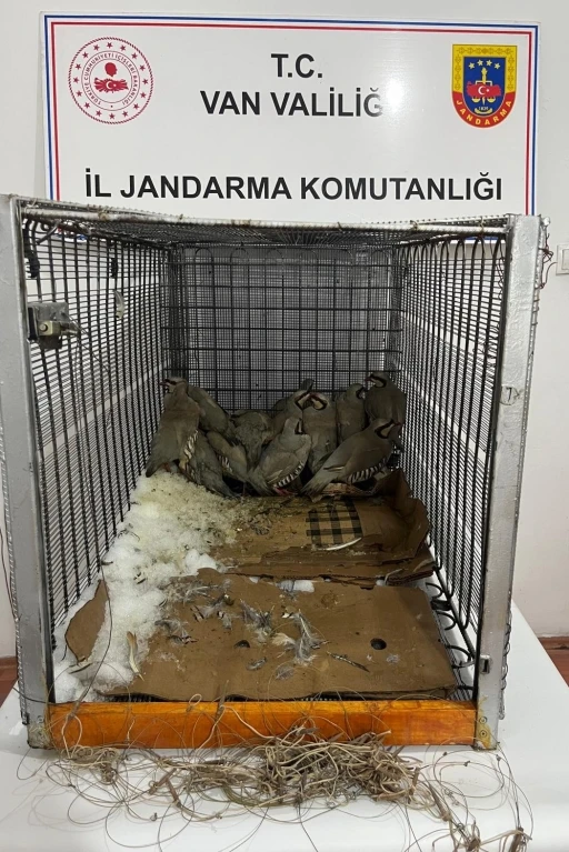 Van&rsquo;da keklik avına 75 bin 303 TL idari para cezası
