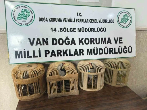 Van&rsquo;da keklik avlayan şahsa 86 bin 278 lira para cezası
