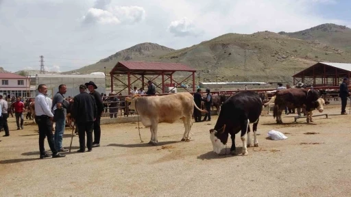 Van’da kurbanlıklar görücüye çıktı
