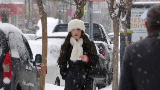 Van&rsquo;da lapa lapa kar yağışı: 625 yol kapandı, okullar tatil edildi
