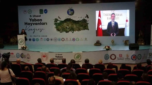 Van’da &quot;3. Ulusal Yaban Hayvanları Kongresi&quot; başladı
