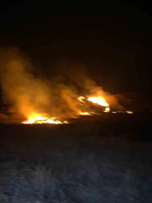 Van&rsquo;da sazlık alanda yangın &ccedil;ıktı

