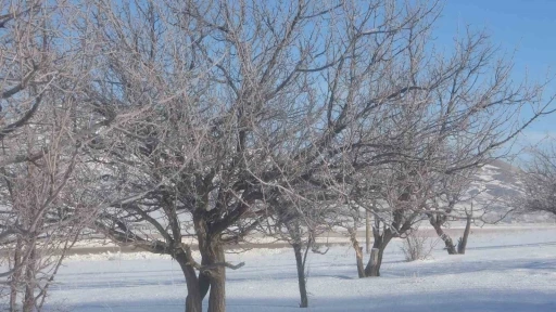 Van&rsquo;da Sibirya soğukları hayatı olumsuz etkiliyor

