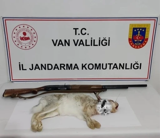 Van&rsquo;da tavşan avlayan şahsa 29 bin TL ceza
