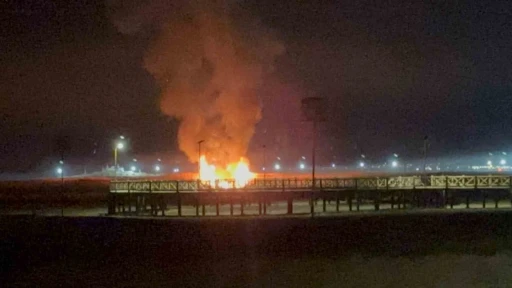 Van’da yaban kuşlarının barındığı sazlık alanda yangın
