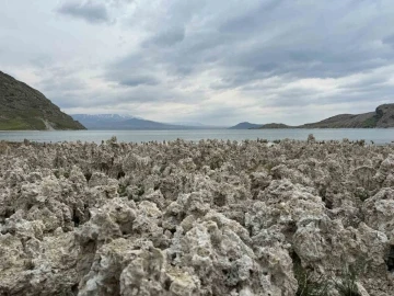 Van Gölü kıyılarındaki mikrobiyalitler vatandaşları şaşırttı
