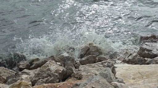 Van G&ouml;l&uuml;&rsquo;nde şiddetli r&uuml;zgar dalgaları coşturdu
