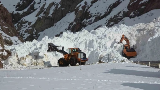 Van-Hakkari kara yolunda &ccedil;ığ sonrası &ccedil;alışmalar s&uuml;r&uuml;yor
