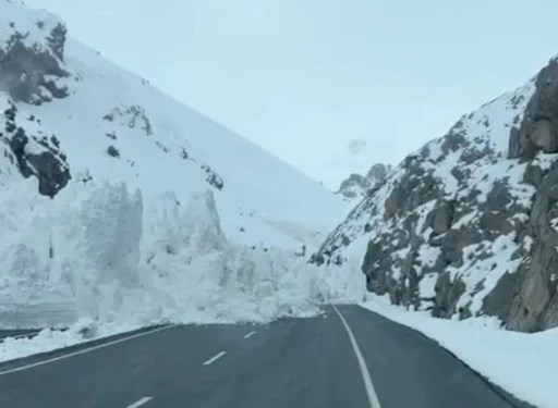 Van-Hakkari karayoluna &ccedil;ığ d&uuml;şt&uuml;
