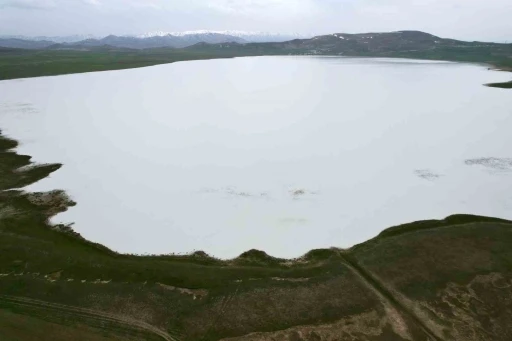 Van&rsquo;ın kuş cenneti Akg&ouml;l misafirlerini bekliyor
