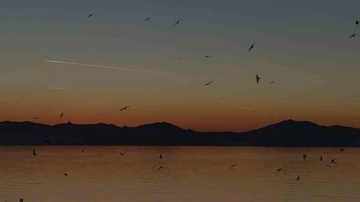 Van semalarında kartpostallık akşam: Uçaklar, kuşlar ve kızıl günbatımı büyüledi
