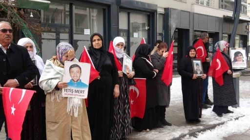 Vanlı anne: "Artık &ccedil;ocuklarımızı g&ouml;mmeyelim, silahlarımızı g&ouml;melim"
