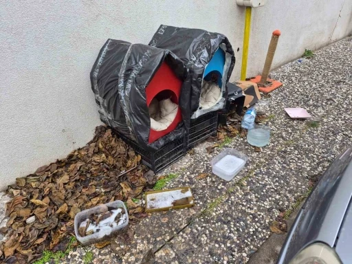 Vatandaşlardan sokak hayvanları i&ccedil;in &ouml;rnek davranış
