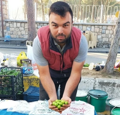 Vazgeçilmez yaz meyvesi erik tezgahlarda yerini aldı
