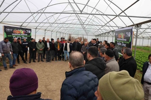 Vezirk&ouml;pr&uuml;&rsquo;de &ccedil;ift&ccedil;iye 12 bin 500 meyve fidanı
