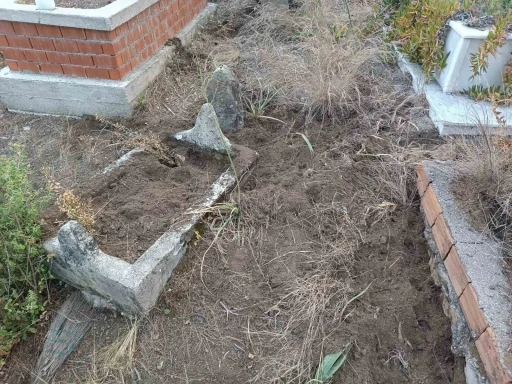Yaban domuzları mezarlara zarar verdi, mahalleli tel örgü istedi
