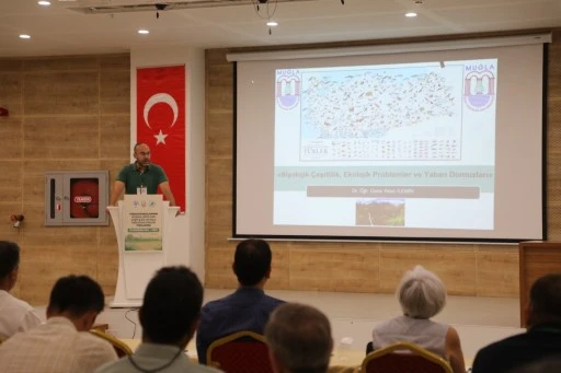 Yaban Domuzları Muğla'da Masaya Yatırıldı