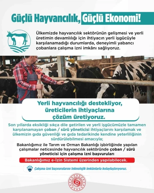 Yabancı çobanlar için çalışma izni başvuruları başladı
