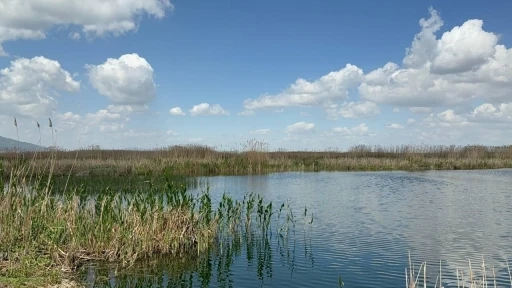 Yağışlar Eber G&ouml;l&uuml;&rsquo;ne can suyu oldu, kiraz &uuml;reticisinin y&uuml;z&uuml; g&uuml;ld&uuml;
