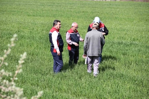 Yağışlar sonrası &ccedil;ift&ccedil;ilere hububat tarlalarında hastalık riski uyarısı: "Hastalık &ccedil;ıkmadan &ouml;nce alınan tedbirler verimi korur"
