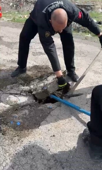 Yağmur suyu hattına düşen yavru ördek kurtarıldı
